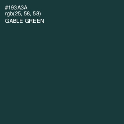 #193A3A - Gable Green Color Image